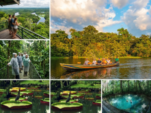 Biomas do Brasil: Amazônia, Pantanal e Cerrado — turismo responsável